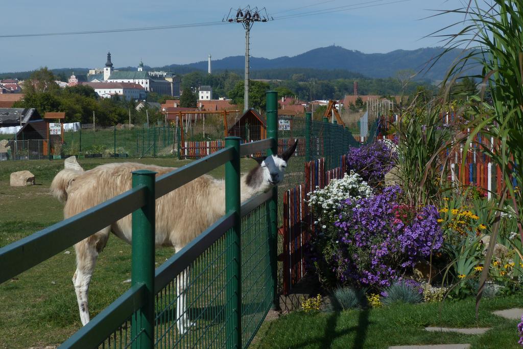 Вилла Farma Wenet Броумов Экстерьер фото